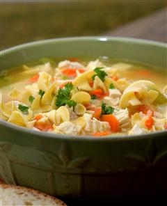 Chicken Noodle Soup