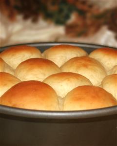 Dinner Rolls